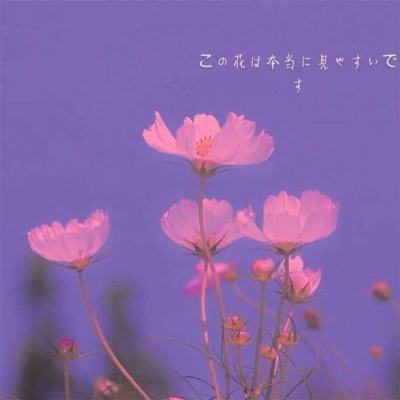 战斗圣佛正式版(暂未上线)v1.0.0 安卓版